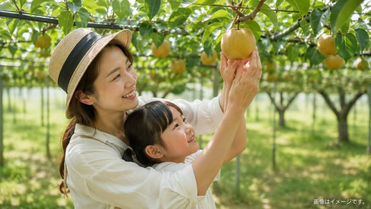 緑豊かな埼玉の梨畑で、大人が子どもの手を支えながら大きな梨を優しく持ち上げて収穫している