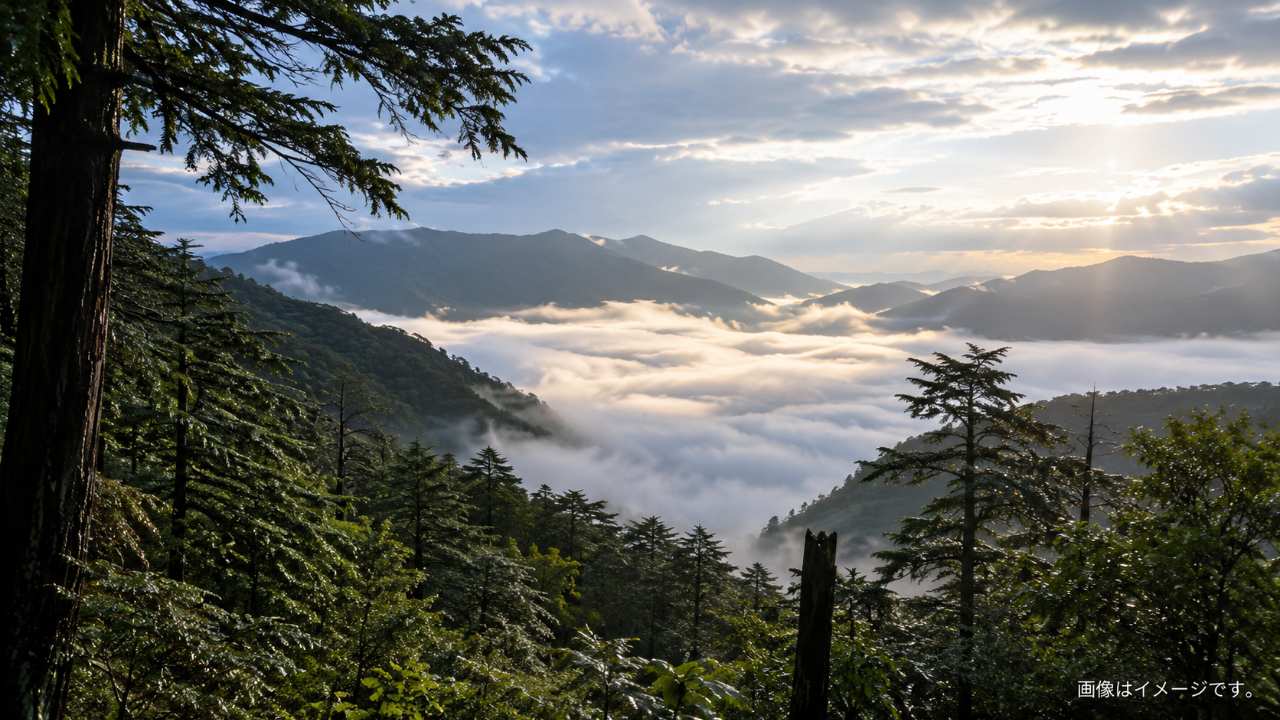 雨上がりの三峰山で雲海が発生する条件を視覚的に伝える横長の実写写真風画像