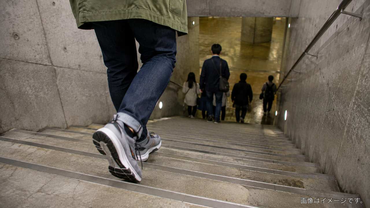 地下神殿の巨大な柱と調圧水槽を見学する来訪者