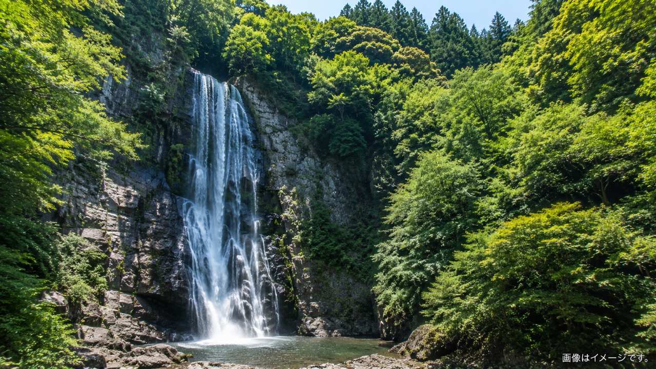 埼玉の山あいに流れる代表的な滝を木々とともに望む風景